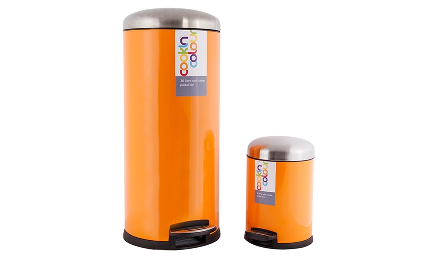 Image 6: 30L and 5L Pedal Bins