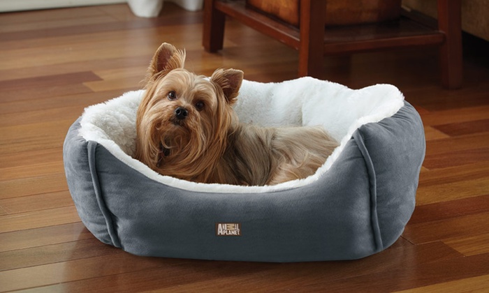 $19.99 for an Animal Planet Ultra Suede Pet Bed