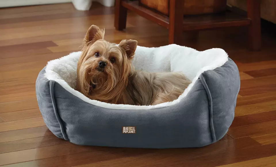 $19.99 for an Animal Planet Ultra Suede Pet Bed ($39.99 List Price). Three Colors Available. Free Shipping and Returns. - Primary Image