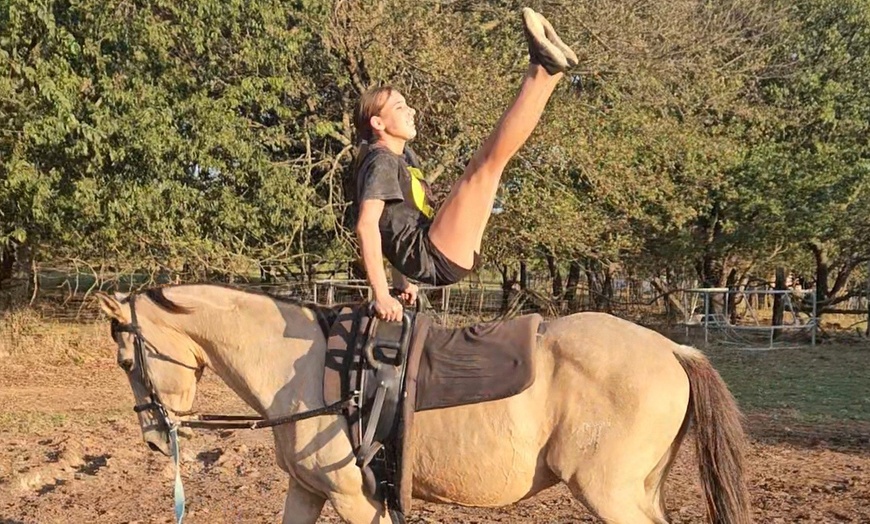 Image 2: Enjoy Horse Vaulting Lessons or Gymnastics On Horseback