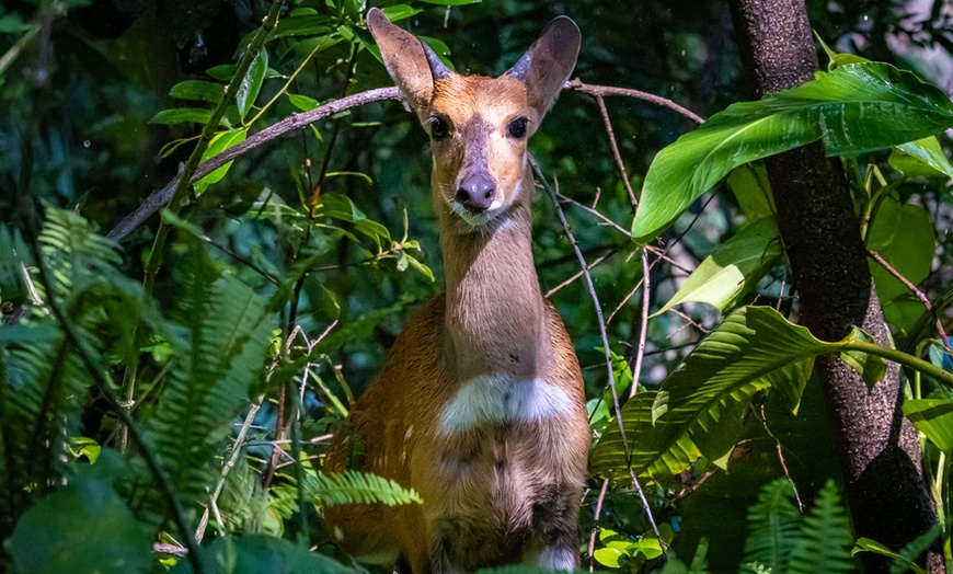 Image 25: 8-Day Yoga & Safari Retreat