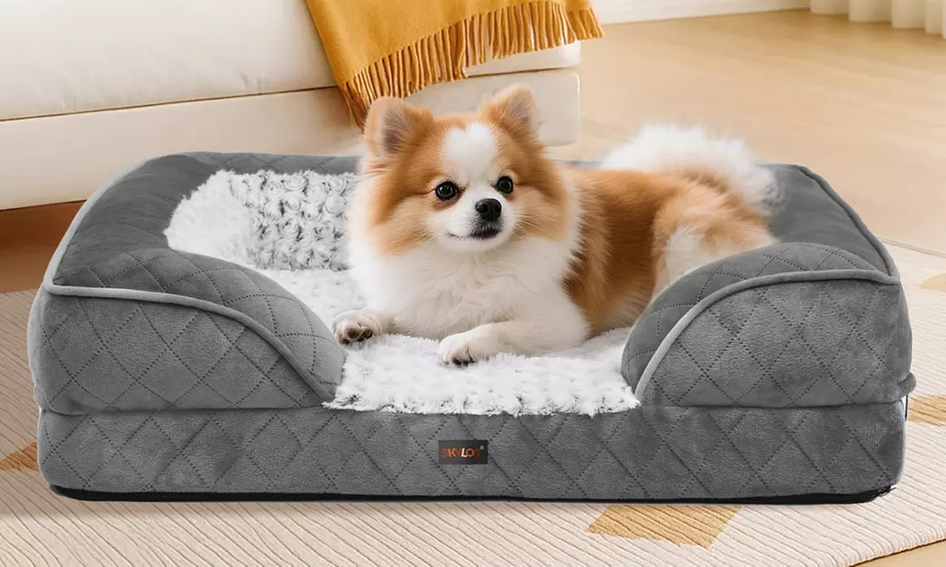 Pawz Skylos Orthopaedic Dog Bed with Bolster Support