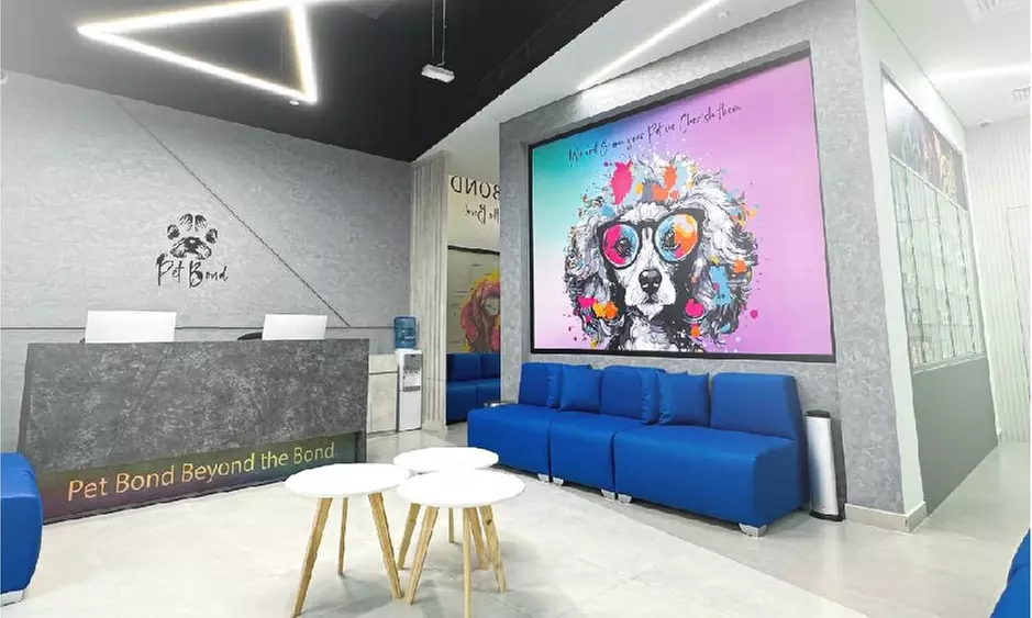 Cat/Dog Check Up with Vaccinations