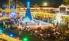 CBF Productions Offers Coastal Christmas with Holiday Lights Trail and Wine Walk for Two (Up to 25% Off)