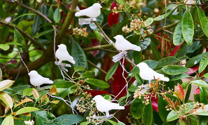 Image 2: Solar Bird Tree Lights