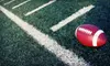 $24 for a Set of St. Louis Rams Game-Used Turf from the Trans World Dome from TheMetrodomeRoof.com ($45 Value)