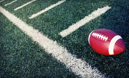 $24 for a Set of St. Louis Rams Game-Used Turf from the Trans World Dome from TheMetrodomeRoof.com ($45 Value) - Primary Image