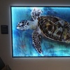 Image 5: 27% Off Lights On: A Nighttime Art Experience at Brevard Zoo