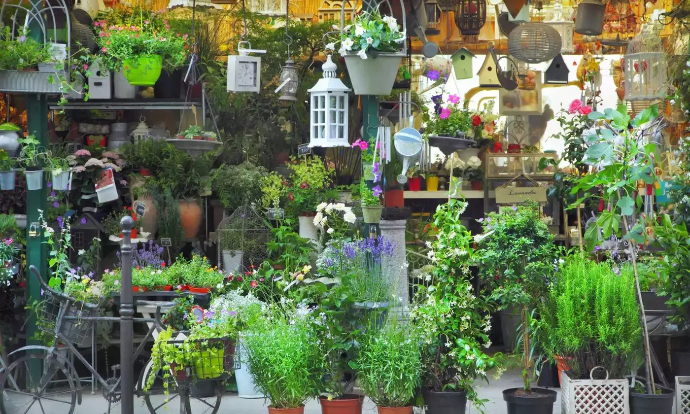 ✈9-Day European Vacation with Air - Great Value Vacations