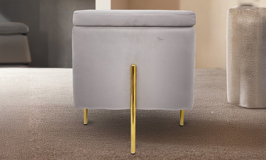 Image 5: Pouf contenitore in velluto