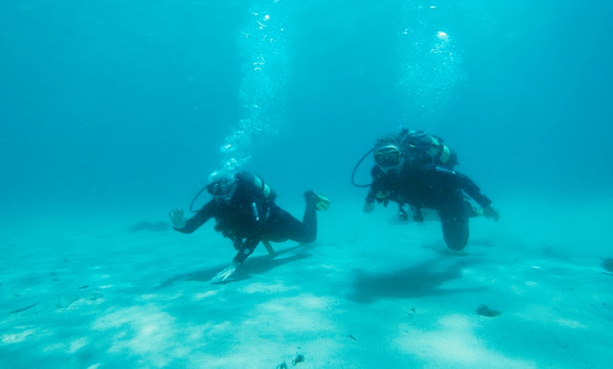 Image 4: Bautismo de buceo con casi 1 hora de inmersión para 1 o 2 personas