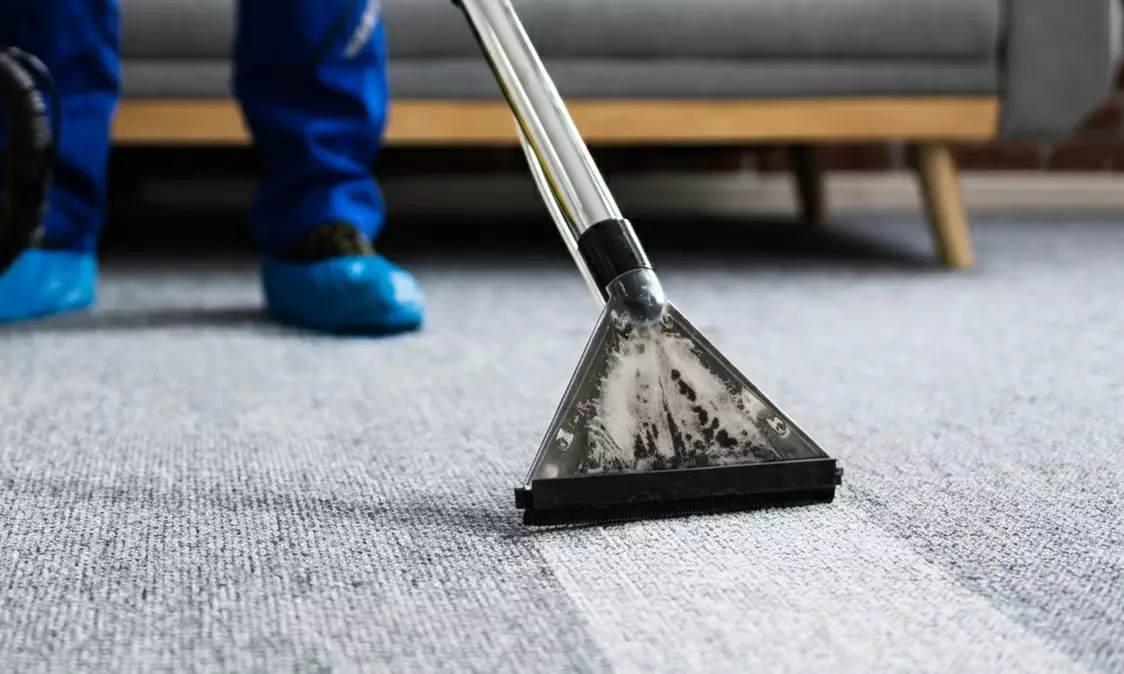 50% Off 6 or 12-Month Carpet Cleaning Membership - Primary Image