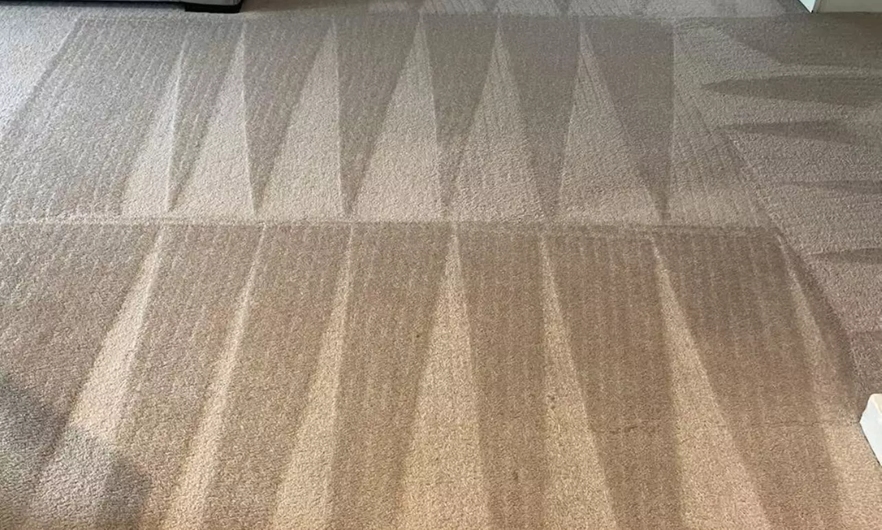 Eco-Friendly Truck-Mounted Steam Carpet Cleaning