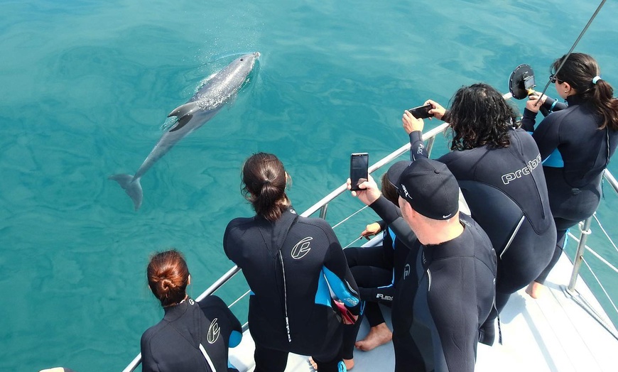 Image 10: Discover Wildlife on Sightseeing Tour for One Adult, Child or Infant 