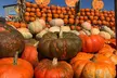 Blue Ridge Mountain Maze Offers 5 Acre Corn Maze & Festival Fun Admission for 1, 2, 3 or 4 -Up to 40% Off - Second Medium
