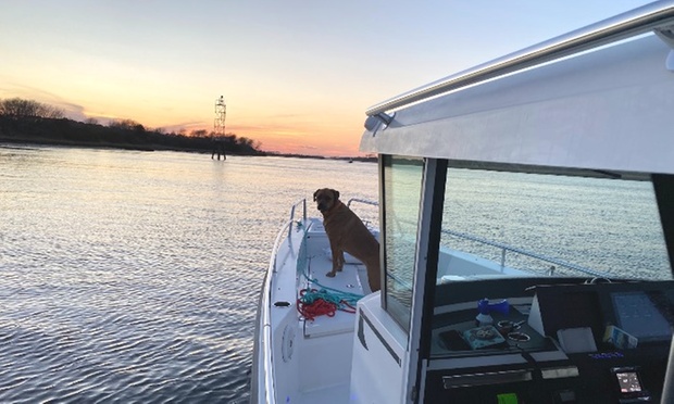 What to expect media