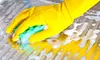 Two Hours of Cleaning Services from Viper Detailing LLC. (55% Off)