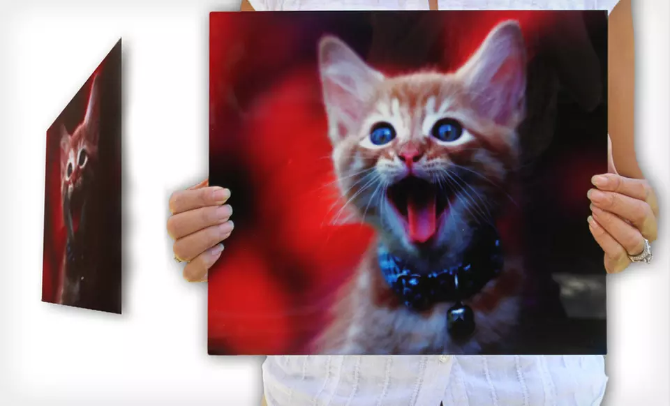 $39 for a Custom Photo on Metal from Picture It On Canvas ($139 List Price). Free Shipping. - Second Medium
