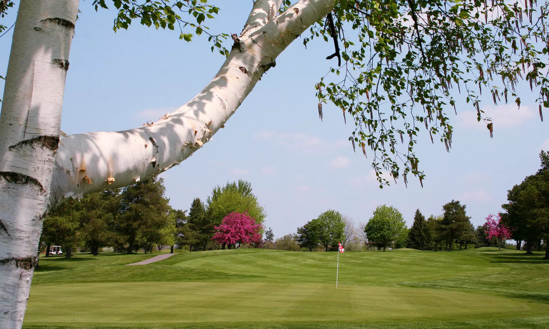 Enhance Golfing Experience with 18-Hole Round of Golf with Cart at Centerpointe Golf Club (Up to 41% Off) - Primary Image