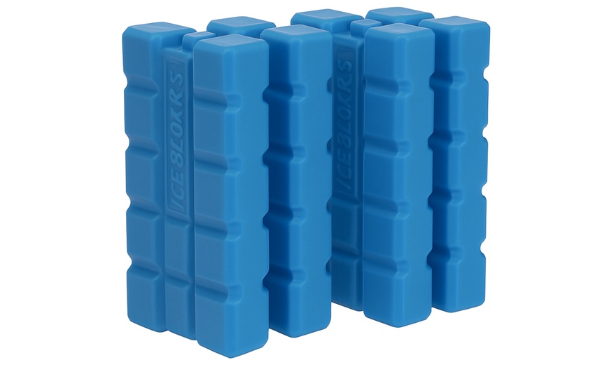 Image 6: Insulated Cooler Ice Box and Optional Ice Blocks 15L, 24L, 35L
