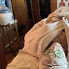 Image 1: Indulge in 60 or 90 minutes Total Massage  Relaxation