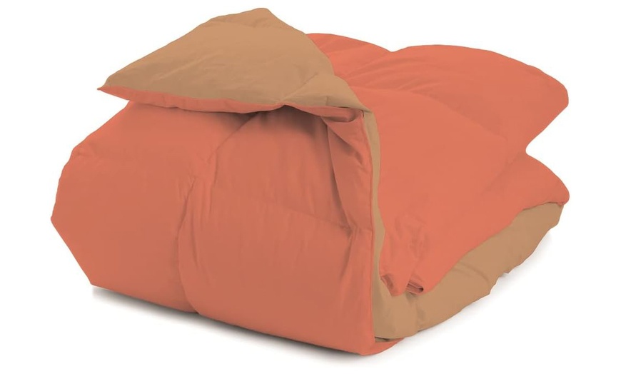 Image 5: Couette d’hiver réversible avec 90% plumes d’oie