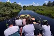 Explore Wildlife on an Everglades Airboat Tour in Kissimmee with Northern Everglades Adventures (Up to 26% Off) - Second Medium
