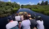 Explore Wildlife on an Everglades Airboat Tour in Kissimmee with Northern Everglades Adventures (Up to 18% Off)