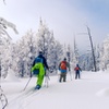 Image 2: Day Trip to Lake Mountain Snow Tour for Child or Adult on Tuesday, Thursday, Saturday (Up To 23% Off)