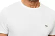 Lacoste Men's Pima Cotton T-Shirts - Clearance & Free Shipping - Image 3