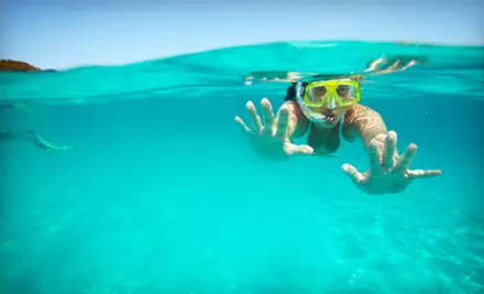 Discover Scuba Class for One or Snorkeling Class for One or Two at Underwater Safaris (Up to 51% Off) - Primary Image