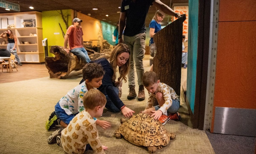 Image 7: Explore World Class Natural History, Dinosaurs and Live Animals
