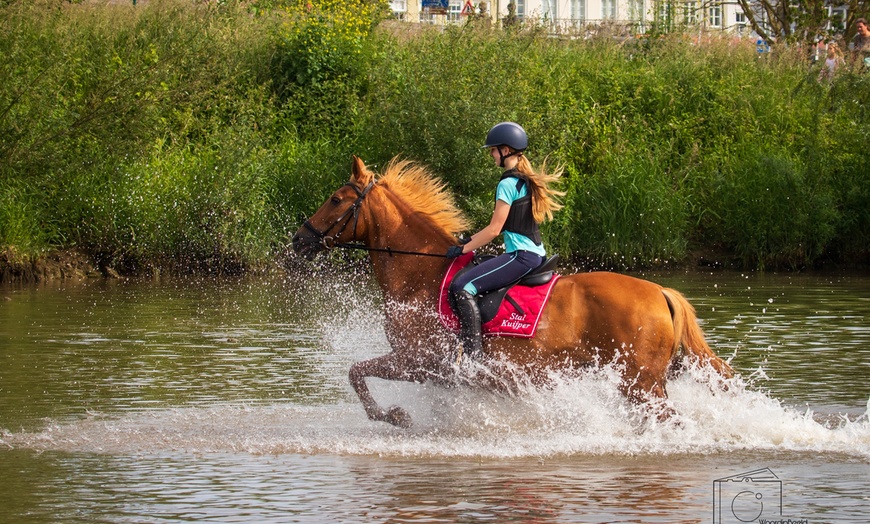 Image 6: Avontuurlijk paardrijden met bosrit of waterrit incl. begeleiding