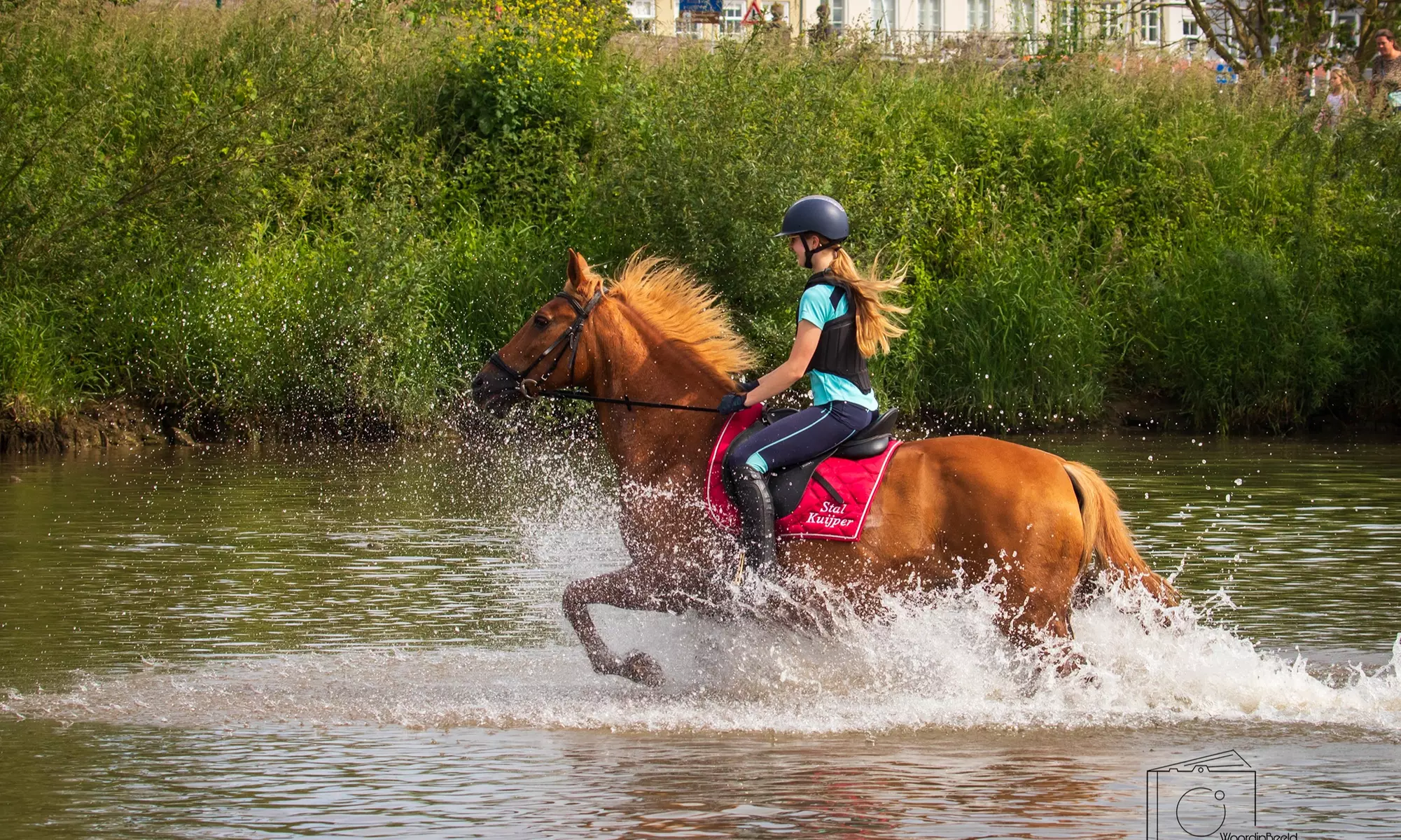 Avontuurlijk paardrijden met bosrit of waterrit incl. begeleiding