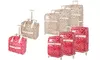 Roxanne Collection 3-Piece Luggage Set or Under-Seat Bag Carry-On