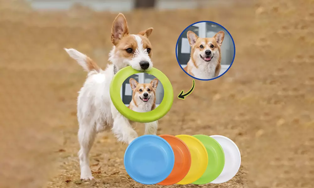 One or Two Custom Pet Toys - Custom Frisbees or Bones Available!