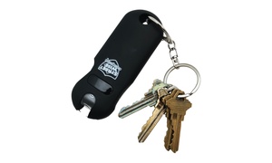 Streetwise Key Chain Stun Gun