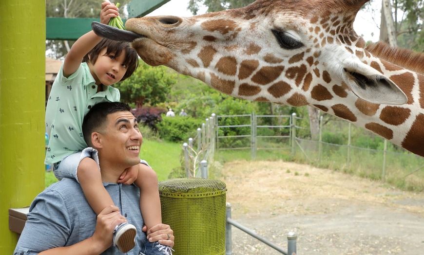Image 2: Six Flags Discovery Kingdom Single Day Tickets – 45% Off
