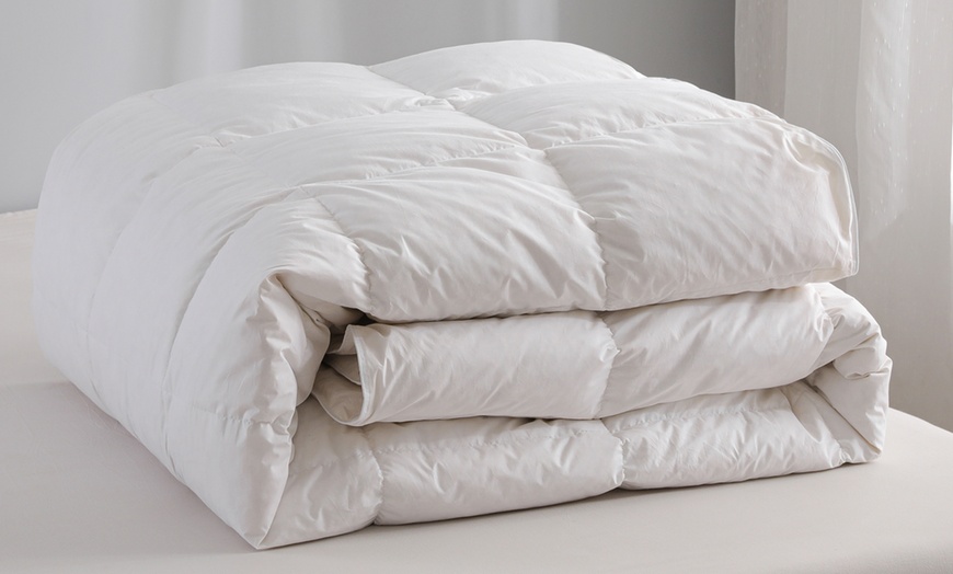 Image 2: 10.5 Tog or 13.5 Tog Goose Feather Duvet
