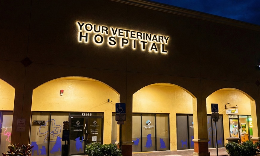 Image 3: Up to 59% Off on Vet at Your Veterinary Hospital