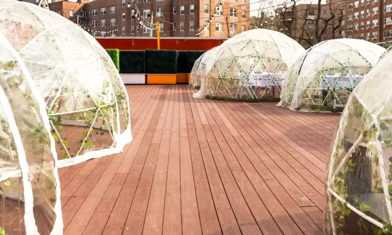 Vibrant Rooftop Dining: Choose Meals, Margaritas, or Dining Credit