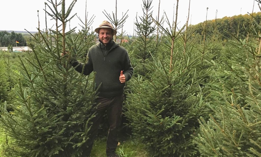 Image 2: Weihnachtsbaum-Abenteuer: Blaufichte fällen & Glühwein/Punsch