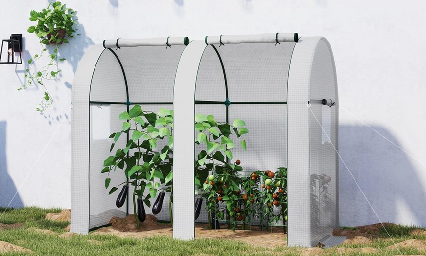 Image 19: Outsunny Mini Greenhouse