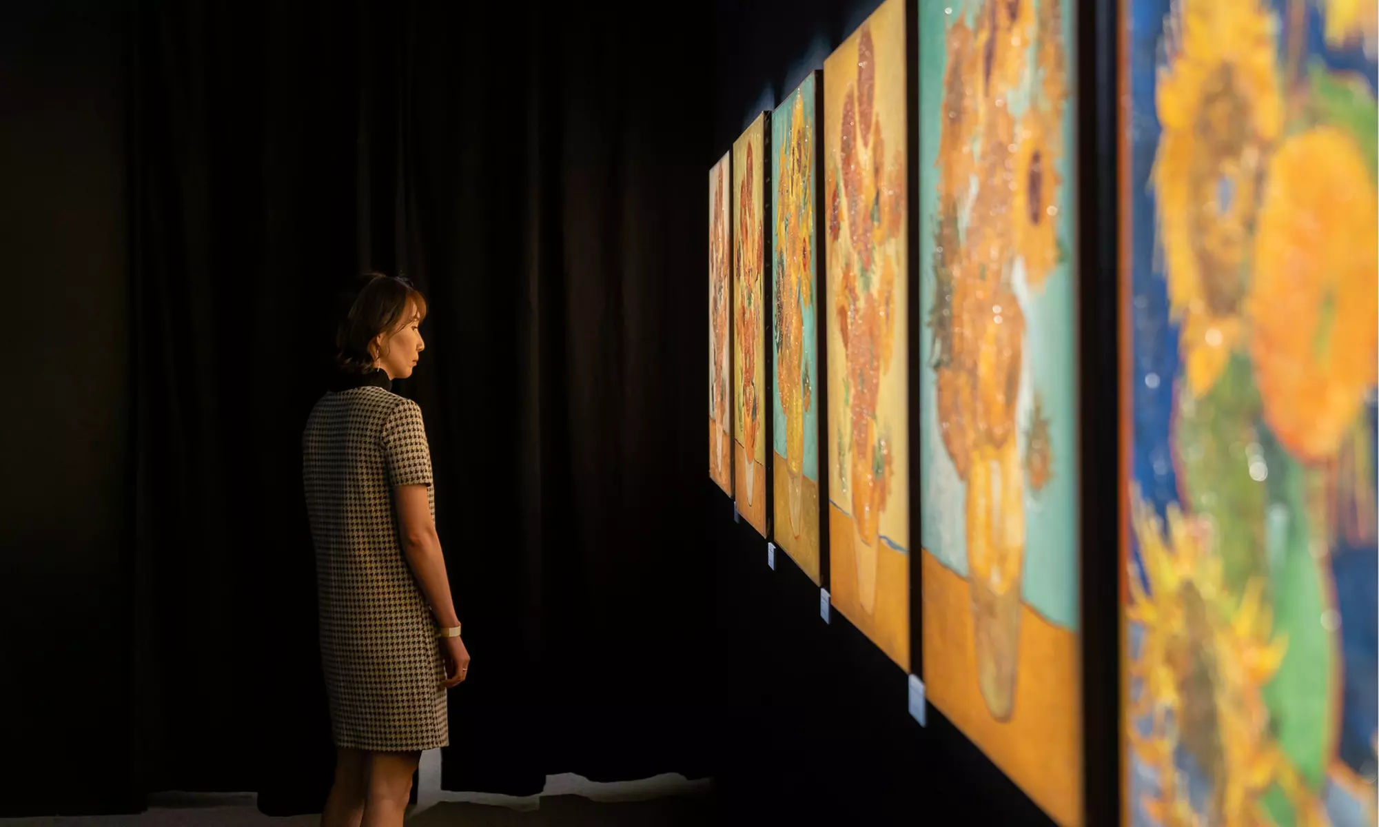 Ticket für Van Gogh Ausstellung Hannover, einlösbar vom 12.11.-23.12.