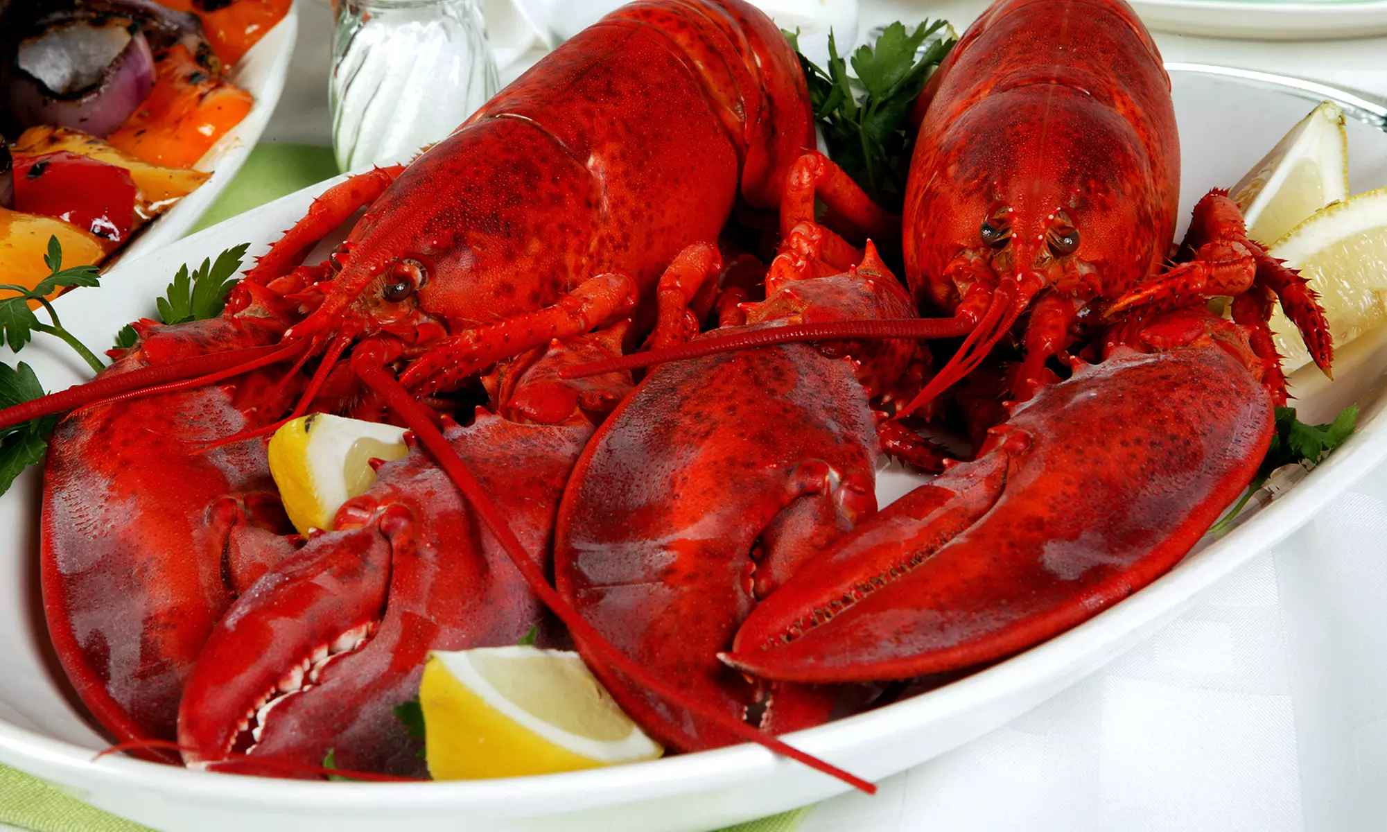 Lobster, Steak, and Seafood from GetMaineLobster.com (Up to 51% Off). Three Options Available.  - Second Medium