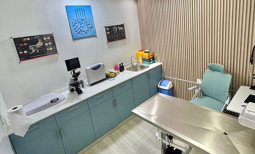 Image 4: Pet Boarding & Daycare Packages for Cats and Dogs of All Sizes