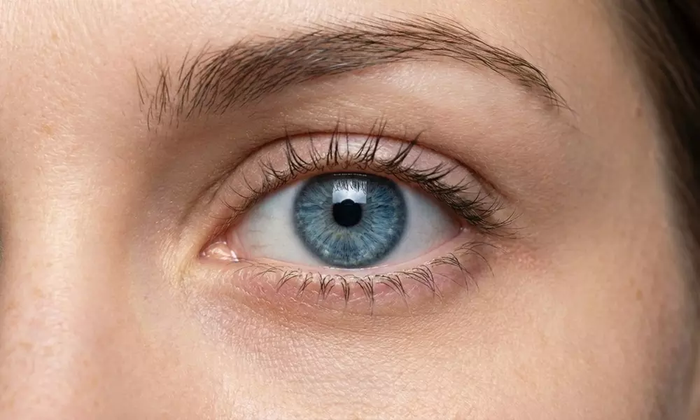 Transform Your Look w/Classic / Hybrid Lash Extension & First Touch Up