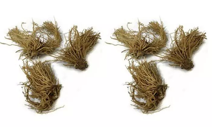 Hardy Heart-Shaped Hosta Bare Roots (Set of 6,12, or 24)