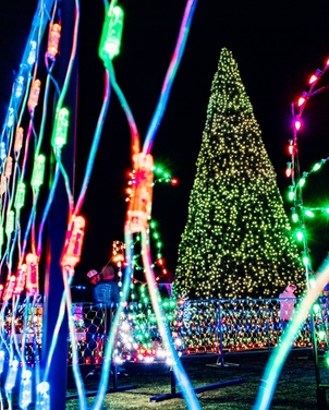 What to expect media