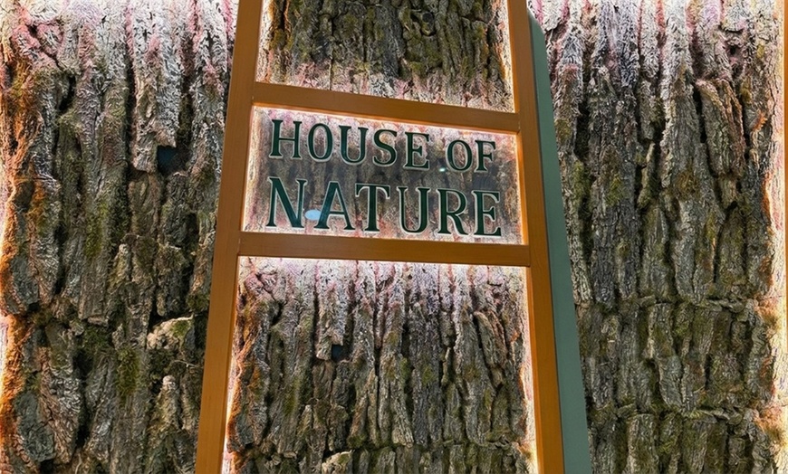 Image 5: Salt Room Yoga Experience: Wellness, Relaxation & Breathing Sessions